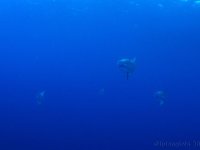20220728_09h55mn33s-r5
