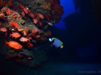 20250401_14h56mn46s-r