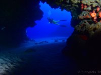 20250403_09h58mn55s_F-DSC_0048-r