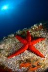 Mer Méditerranée - Mediterranean Sea
