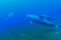 20130412_16h37mn42s-r2