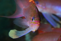 20120725_16h00mn15s
